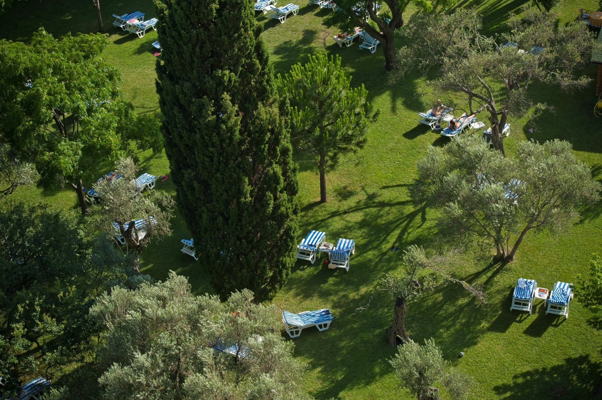 Hotel Rivijera Petrovazzo Esterno foto