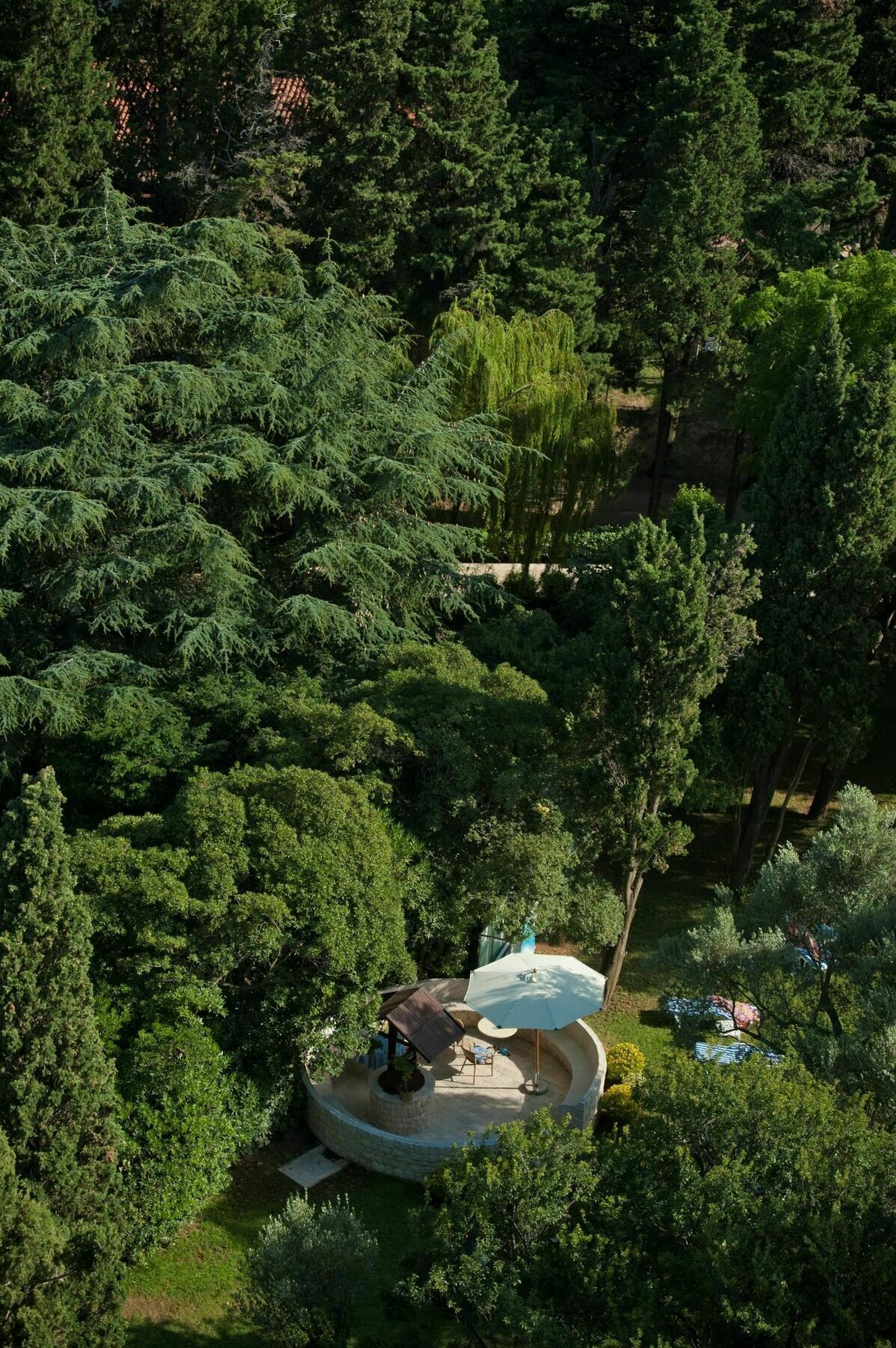 Hotel Rivijera Petrovazzo Esterno foto